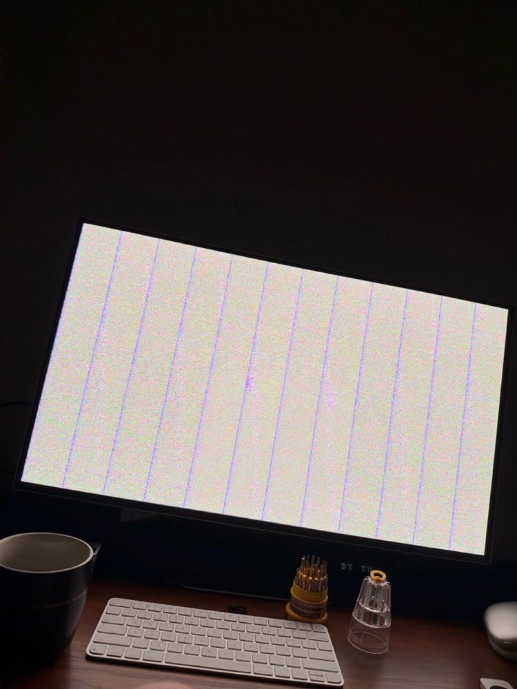 The monitor showing pale full-screen static in equal vertical bands during a macOS update